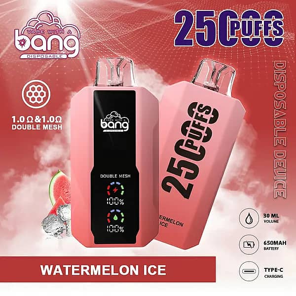 w=600,h=600,fit=scale down,gravity=auto,sharpen=1,metadata=none,format=auto,quality=70 Bang 25000 Puffs Disposable Vape in Watermelon Ice flavor, featuring dual mesh coils, 30ml e-liquid capacity, 650mAh battery, and Type-C charging.