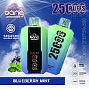 Bang 25000 Puffs Disposable Vape in Blueberry Mint flavor, featuring double mesh coil, 30ml e-liquid, 650mAh battery, and Type-C charging, with device images on a blue sky background and mint leaves and blueberries in the corner.
