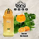 Bang King 12000 Puffs Disposable Vape Pen Sex on the Beach Flavor with Tropical Fruity Taste