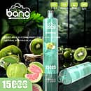Bang Shisha 15000 Puffs Kiwi Passion Fruit Guava Disposable Vape – 15ml E-liquid, 600mAh Type-C Rechargeable, 1.0Ω Mesh Coil, Tangy Kiwi, Tropical Passion Fruit and Sweet Guava Flavor
