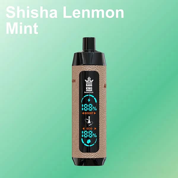 w=600,h=600,fit=scale down,gravity=auto,sharpen=1,metadata=none,format=auto,quality=70 Bang King Shisha 25K disposable vape in “Shisha Lenmon Mint” flavor — taupe leather-textured body, black mouthpiece, and a central LED window with Boost/Eco icons — on a mint-green gradient background.