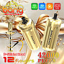 Bang E-Shisha Head 42000 Puffs promo image showing two gold hookah-style disposable heads (one labeled “Peach Ice,” one “Bang Blaze”), a gold hookah, and icons for Type-C, 1000mAh, 30ml, dual-core 0.6Ω mesh coil, and “12 flavors.”