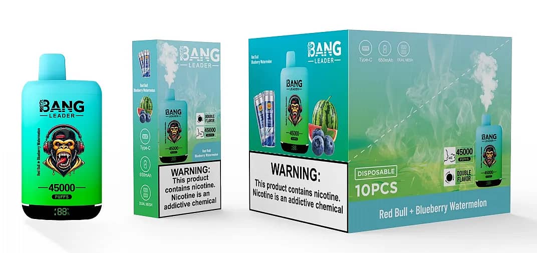 Bang Leader disposable vape set in Red Bull + Blueberry Watermelon, showing a turquoise device with monkey mascot and digital screen, single box, and 10-pcs master carton labeled 45,000 puffs with nicotine warning.