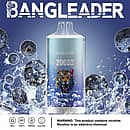 Bang Leader 20000 Puffs disposable vape in Blueberry Ice flavor with tiger logo, surrounded by splashing blueberries and ice, showing 28ml, Type-C, 650mAh, dual-mesh icons.