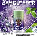 Bang Leader 20000 Puffs disposable vape in Blueberry Mint flavor with tiger logo, blueberries, mint leaves, and icons for 28ml, Type-C, 650mAh, dual-mesh.