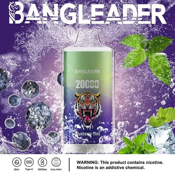 Bang Leader 20000 Puffs disposable vape in Blueberry Mint flavor with tiger logo, blueberries, mint leaves, and icons for 28ml, Type-C, 650mAh, dual-mesh.