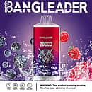 Bang Leader 20000 Puffs disposable vape in Blueberry Raspberry flavor with tiger logo, splashing blueberries and raspberries, plus 28ml, Type-C, 650mAh, dual-mesh icons.