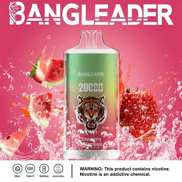 Bang Leader 20000 Puffs disposable vape in Strawberry Watermelon flavor with tiger logo, pink background, splashing strawberry and watermelon, and icons for 28ml, Type-C, 650mAh, dual-mesh.
