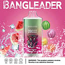 Bang Leader 20000 Puffs disposable vape in Watermelon Bubble Gum flavor with tiger logo, splashing watermelon, colorful bubble gum balls, and icons for 28ml, Type-C, 650mAh, dual-mesh.