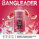 Bang Leader 20000 Puffs disposable vape in Watermelon Ice flavor with tiger logo, splashing watermelon slices and ice cubes, and icons for 28ml, Type-C, 650mAh, dual-mesh.