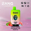 Bang Leader 45000 Puffs Dual Flavors disposable vape &mdash; Strawberry Kiwi & Peach Ice, Type-C rechargeable with battery-percentage display