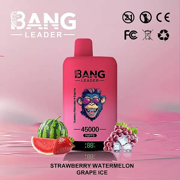 Bang Leader 45000 Puffs Dual Flavors disposable vape &mdash; Strawberry Watermelon & Grape Ice, Type-C rechargeable with battery-percentage display