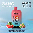 Bang Leader 45000 Puffs Dual Flavors disposable vape &mdash; Strawberry Watermelon Ice & Kiwi Passion Fruit Guava, Type-C rechargeable with battery-percentage display