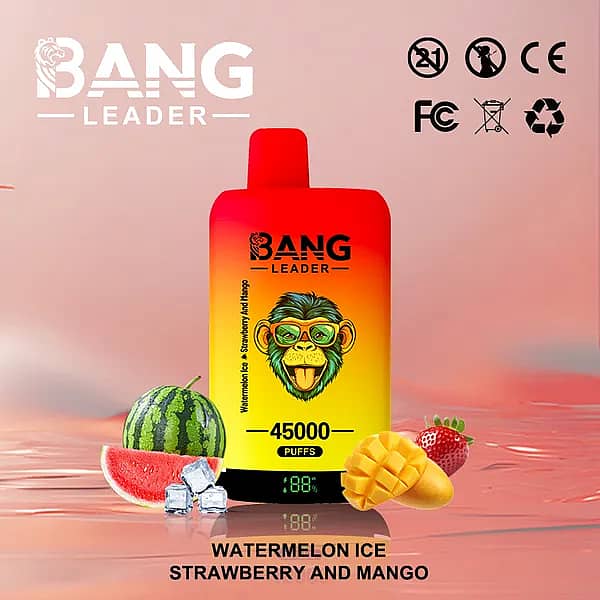 Bang Leader 45000 Puffs Dual Flavors disposable vape &mdash; Watermelon Ice & Strawberry Mango with battery-percentage display, rechargeable