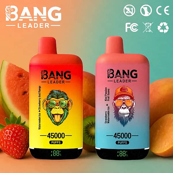 Bang Leader 45000 Puffs dual-flavor disposable vapes—two gradient-color devices with smart battery percentage screens, surrounded by watermelon, strawberry, kiwi, mango, and passion-fruit imagery.
