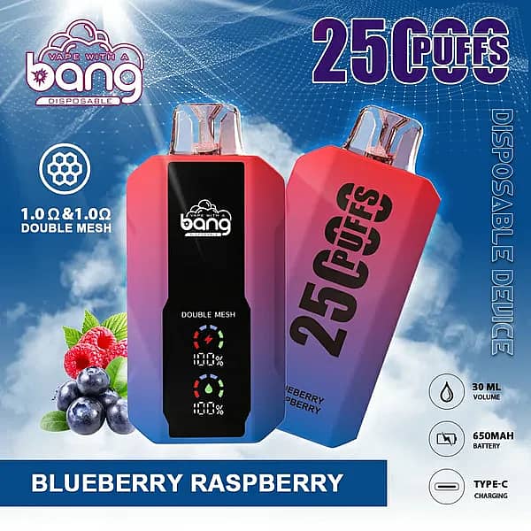 Bang 25000 Puffs Disposable Vape &ndash; Blueberry Raspberry flavor, featuring a dual mesh coil design, colorful gradient body, and labeled 25,000 puffs capacity.