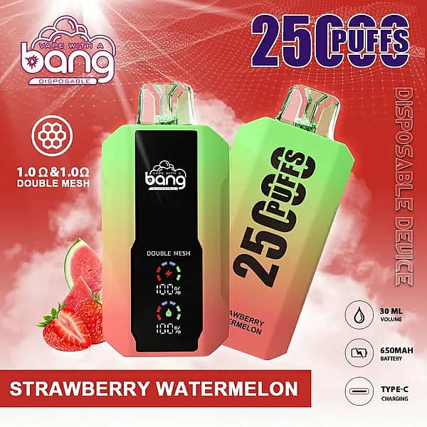 Bang 25000 Puffs Disposable Vape &ndash; Strawberry Watermelon flavor, featuring dual mesh coil design, Type-C charging, 30ml e-liquid, and 650mAh battery capacity.