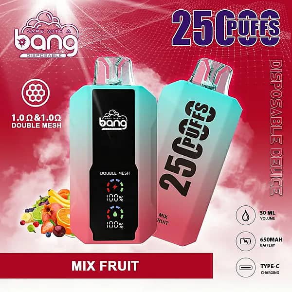 Bang 25000 Puffs Disposable Vape in Mix Fruit flavor, featuring two gradient-colored vape devices with double mesh coils, digital puff and battery indicators, and background fruit imagery.