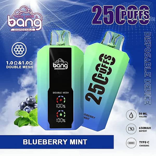 Bang 25000 Puffs Disposable Vape in Blueberry Mint flavor, featuring double mesh coil, 30ml e-liquid, 650mAh battery, and Type-C charging, with device images on a blue sky background and mint leaves and blueberries in the corner.