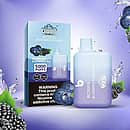 Bang BC5000 Blueberry Raspberry Ice Disposable Vape &ndash; 5000 Puffs, Mesh Coil, 13ml E-liquid, 650mAh Type-C Rechargeable, Sweet Blueberry and Raspberry Ice Flavor