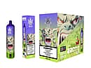 Bang Beach 22000 Puffs Disposable Vape Vimto Flavor &ndash; Packaging Box and Device