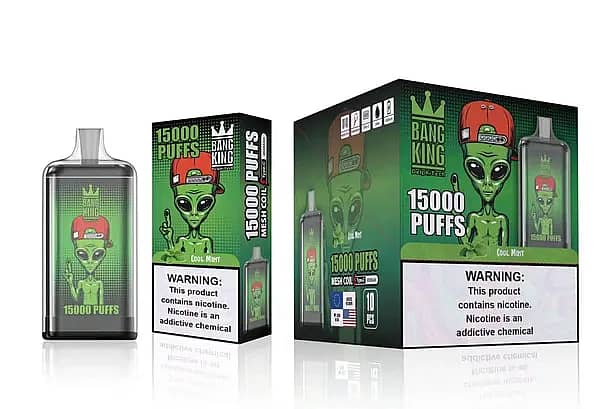 Bang King Cool Mint 15000 Puffs Disposable Vape &ndash; Mesh Coil, 25ml E-liquid, Type-C Rechargeable