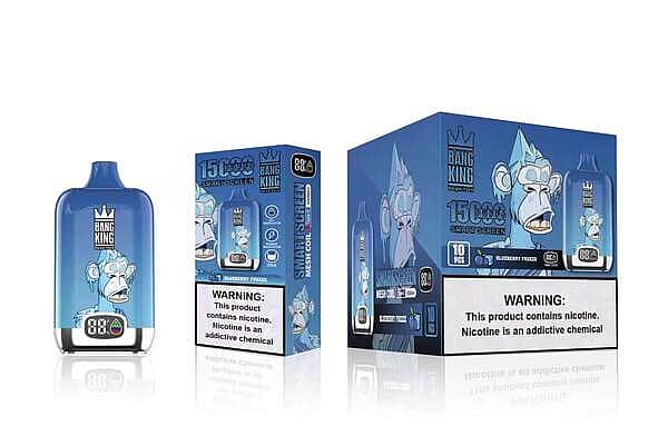 Bang King 15000 Puffs Smart Screen Disposable Vape Pen Blueberry Freeze Flavor | 25ml | 650mAh | Mesh Coil | Type-C Charging | Oil and Power Indicator