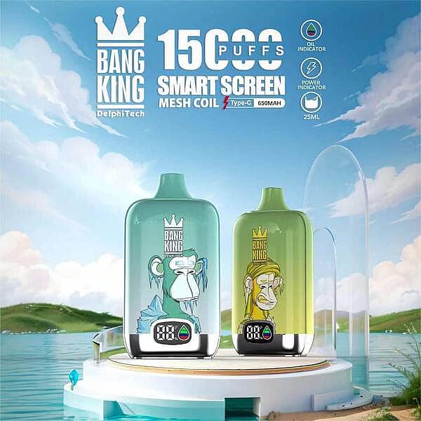 Bang King 15000 Puffs Smart Screen Disposable Vape Pen | 25ml | 650mAh | Mesh Coil | Oil and Power Indicator | Type-C Charging | 0% 2% 3% 5% Nicotine