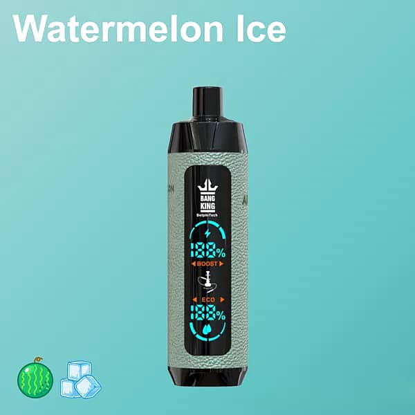 Bang King Shisha 25K disposable vape in &ldquo;Watermelon Ice&rdquo; flavor, sage-green textured body with black mouthpiece/top and base, central Boost/Eco LED panel, on a teal gradient background with small watermelon and ice icons.
