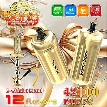 Bang E-Shisha Head 42000 Puffs promo image showing two gold hookah-style disposable heads (one labeled &ldquo;Peach Ice,&rdquo; one &ldquo;Bang Blaze&rdquo;), a gold hookah, and icons for Type-C, 1000mAh, 30ml, dual-core 0.6&Omega; mesh coil, and &ldquo;12 flavors.&rdquo;