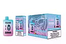 Bang Leader 32000 Puffs engångsvape set i Blueberry Raspberry & Peach Mango Watermelon, visar pastellblå-rosa enhet med roaring gorilla-logotyp, detaljhandelsförpackning, och 10-pcs masterkartong med nikotinvarning.