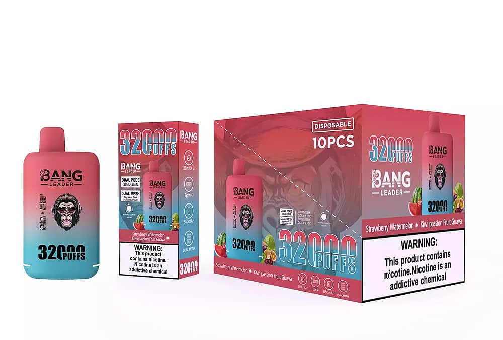 Bang Leader 32000 Puffs engångsvape set i Strawberry Watermelon & Kiwi Passion Fruit Guava, med en korall-till-teal gradient enhet med gorillamaskot, singelförpackning med smak och 10-pack masterkartong med nikotinvarning.
