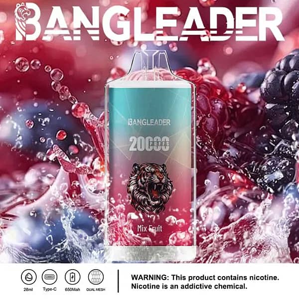 Bang Leader 20000 Puffs disposable vape in Mix Fruit flavor with tiger logo, splashing mixed berries background, and icons for 28ml, Type-C, 650mAh, dual-mesh.