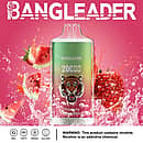 Bang Leader 20000 Puffs disposable vape in Strawberry Watermelon flavor with tiger logo, pink background, splashing strawberry and watermelon, and icons for 28ml, Type-C, 650mAh, dual-mesh.