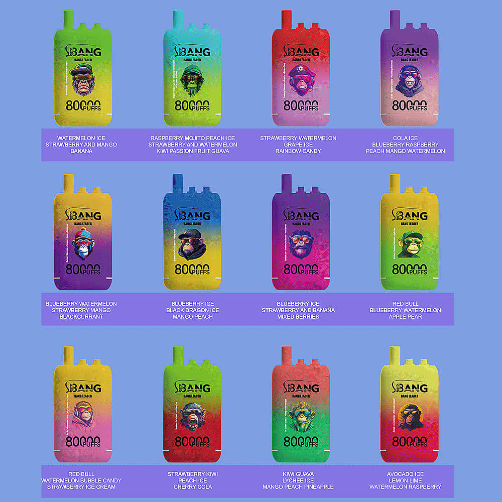 Bang Leader 80000 Puffs disposable vape 12-flavor lineup image featuring multiple three-flavor combinations