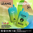 Bang Leader 80000 Puffs disposable vape, three-flavor option: Raspberry Mojito Peach Ice, Strawberry Watermelon, Kiwi Passion Fruit Guava