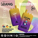 Bang Leader 80000 Puffs disposable vape, three-flavor option: Blueberry Watermelon, Strawberry Mango, Blackcurrant