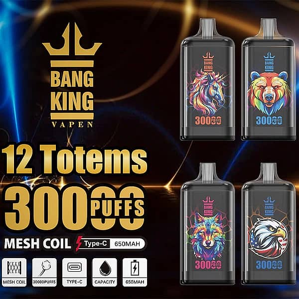 Bang King Crystal 30000 Puffs disposable vape lineup, 12 Totems, mesh coil, Type-C rechargeable, 650mAh battery