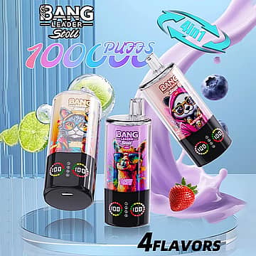 Bang Leader Stoll 100K disposable vape 4-in-1 flavors with smart display and multiple fruit options