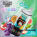 Bang Leader Stoll 100K disposable vape 4-in-1 flavors &ndash; Grape Burst, Lychee Ice, Peach Berry, and Kiwi Passion Fruit Guava
