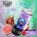 Bang Leader Stoll 100K disposable vape 4-in-1 flavors &ndash; Strawberry Watermelon, Cherry Cola, Juicy Peach Ice, and Grapefruit Refresher
