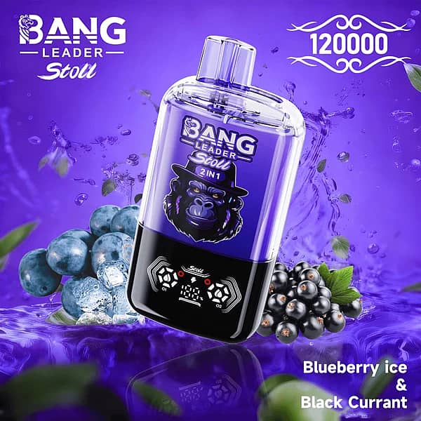 Bang Leader Stoll 120K 2-in-1 disposable vape in Blueberry Ice & Black Currant flavor, 120000 puffs, purple device with fruit and ice background