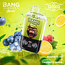 Bang Leader Stoll 120K 2-in-1 disposable vape in Blueberry Ice & Raspberry Lemon flavor, 120000 puffs, green device with blueberries, raspberries, lemon slices, and ice background