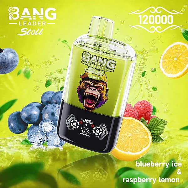 Bang Leader Stoll 120K 2-in-1 disposable vape in Blueberry Ice & Raspberry Lemon flavor, 120000 puffs, green device with blueberries, raspberries, lemon slices, and ice background