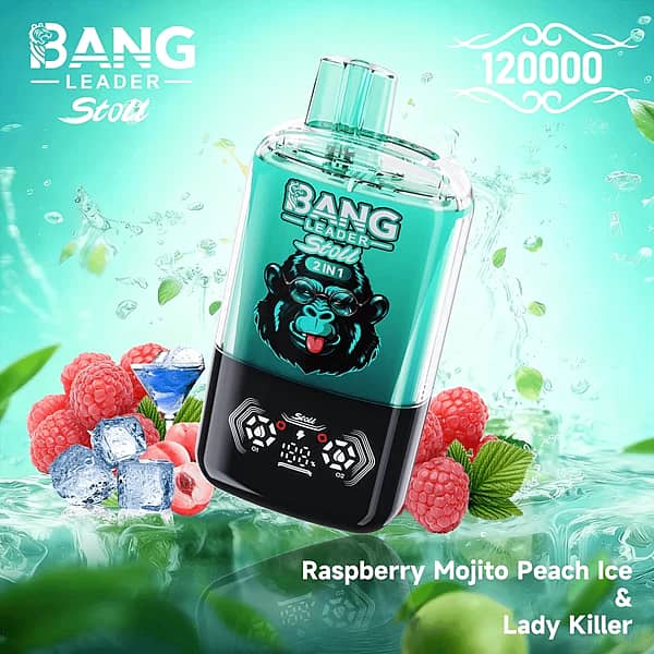 Bang Leader Stoll 120K 2-in-1 disposable vape in Raspberry Mojito Peach Ice & Lady Killer flavor, 120000 puffs, teal device with raspberries, mint leaves, ice cubes, and splash background