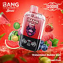 Bang Leader Stoll 120K 2-in-1 disposable vape in Watermelon Bubble Gum & Mixed Fruit flavor, 120000 puffs, red device with watermelon slices, candy, and mixed berries on a red splash background