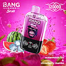Bang Leader Stoll 120K 2-in-1 disposable vape in Watermelon Ice & Strawberry Mamba flavor, 120000 puffs, pink device with watermelon slice, ice cubes and strawberries on a pink splash background
