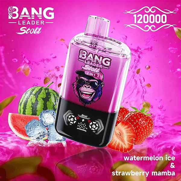 Bang Leader Stoll 120K 2-in-1 disposable vape in Watermelon Ice & Strawberry Mamba flavor, 120000 puffs, pink device with watermelon slice, ice cubes and strawberries on a pink splash background