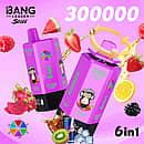 Bang Leader Stoll 300K 6-in-1 disposable vape with multi-flavor selection, featuring a purple device design and mixed fruit citrus flavors