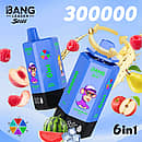Bang Leader Stoll 300K 6-in-1 disposable vape with multi-flavor selection, featuring a blue device design and mixed fruit flavors